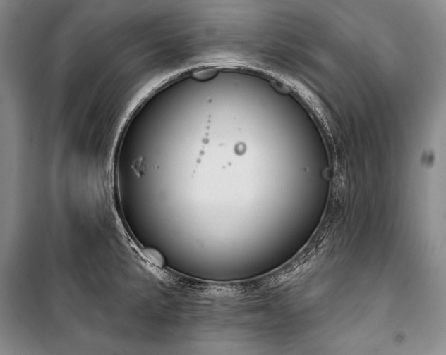 X0000101231191200806271504