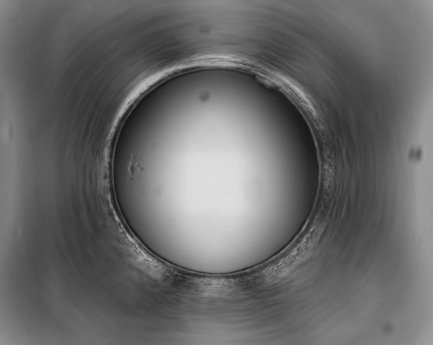 X0000101231192200806271504