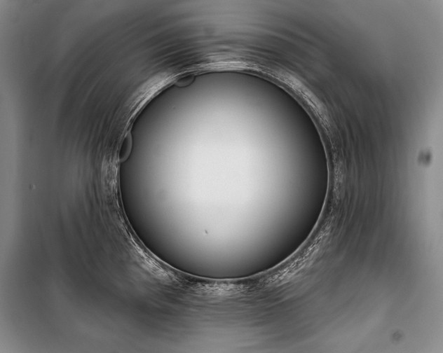 X0000101231193200806271504