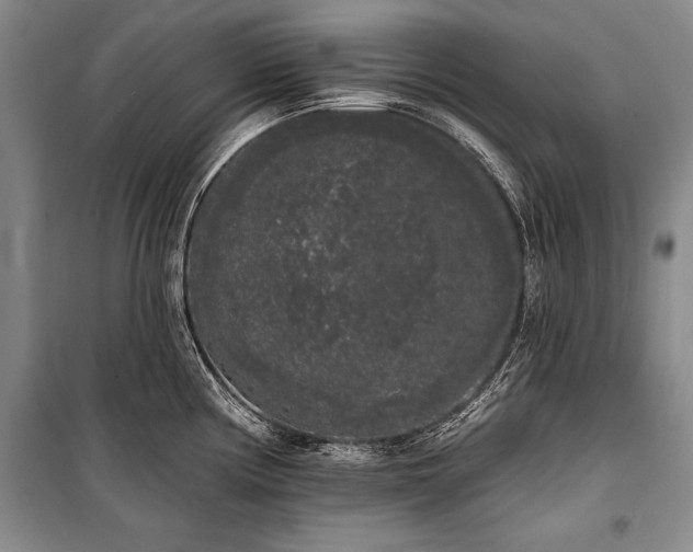 X0000101231194200806271504