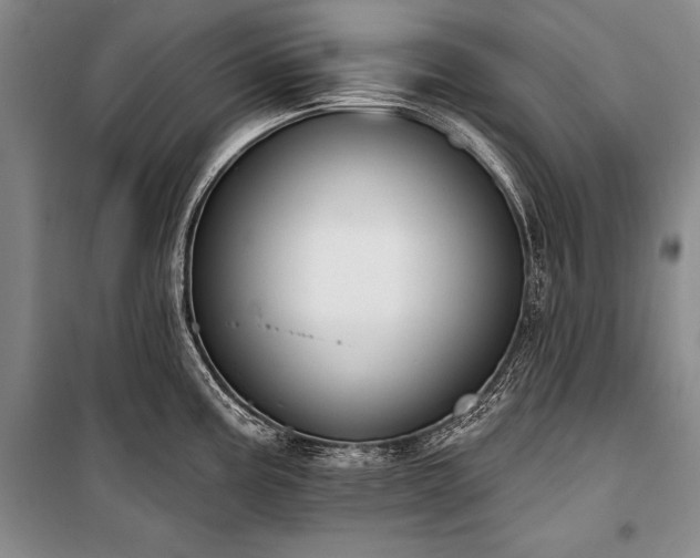 X0000101231195200806271504