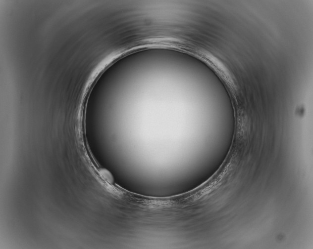 X0000101231196200806271504