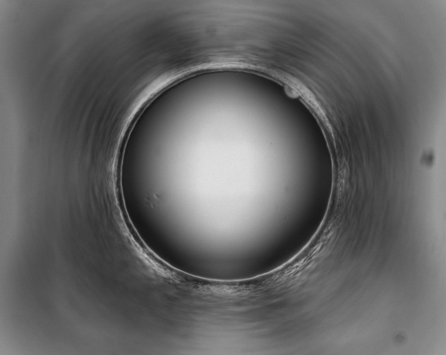 X0000101231197200806271504