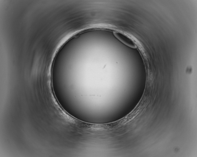 X0000101231199200806271504