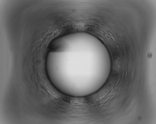 X0000101231201200806271503
