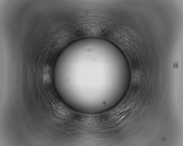 X0000101231202200806271503
