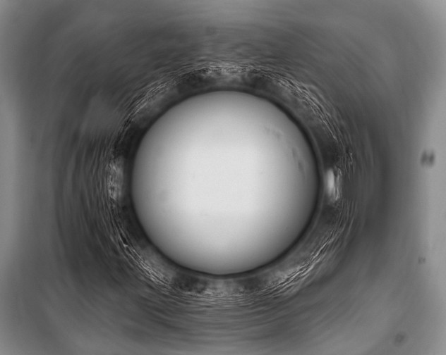 X0000101231203200806271503