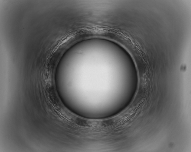 X0000101231205200806271503
