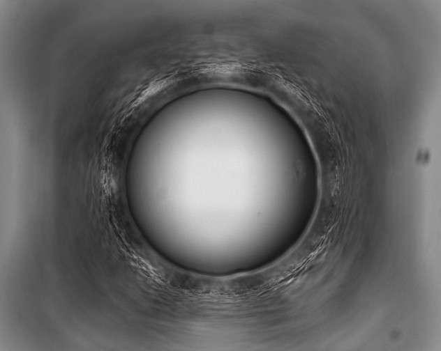 X0000101231206200806271503