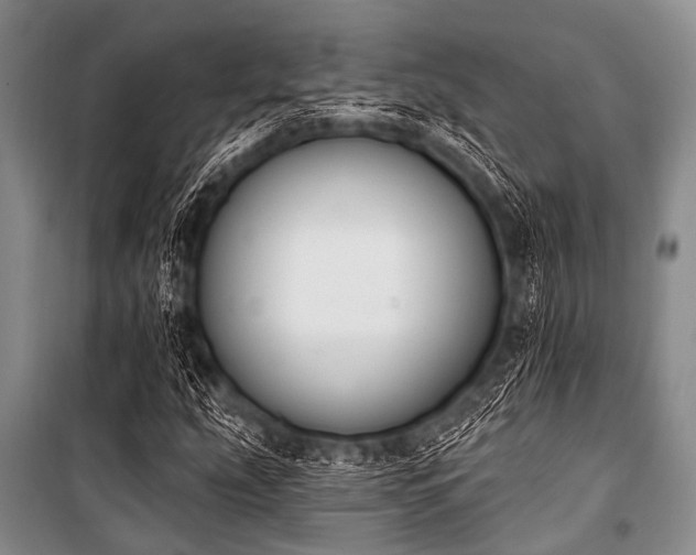 X0000101231207200806271503