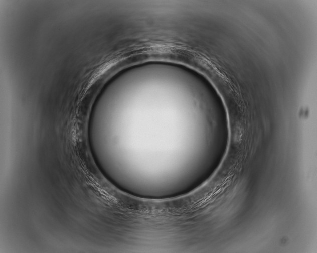 X0000101231208200806271503