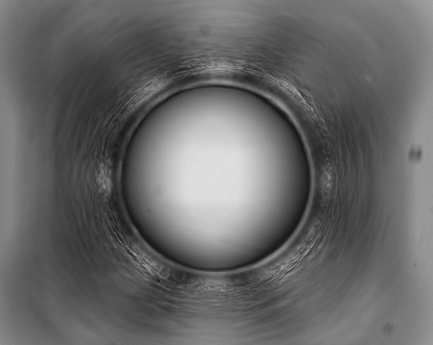 X0000101231209200806271503