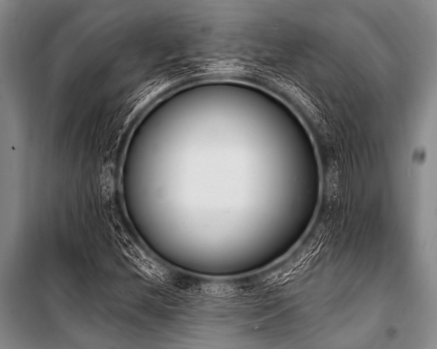 X0000101231212200806271504
