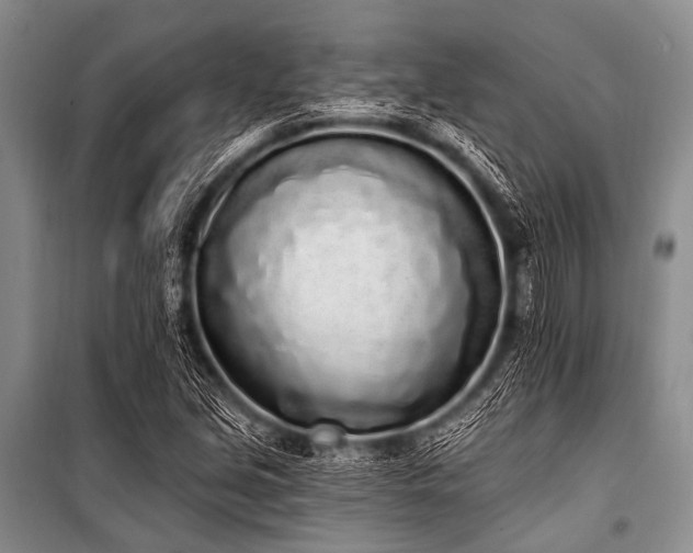 X0000101231213200806271504