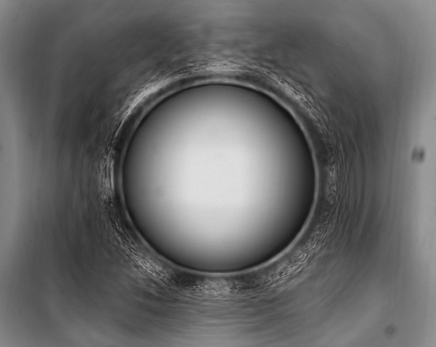 X0000101231214200806271504
