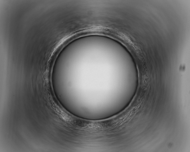 X0000101231216200806271504
