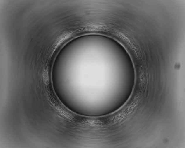 X0000101231218200806271504