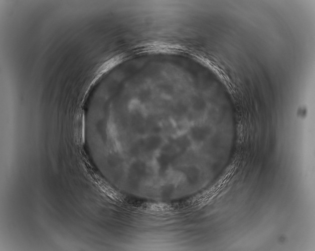 X0000101231219200806271504