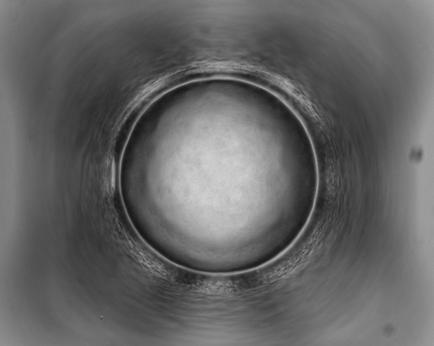 X0000101231221200806271504