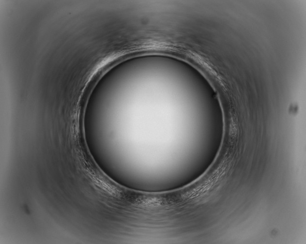 X0000101231222200806271504
