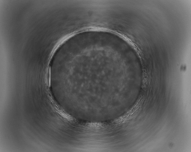 X0000101231223200806271504