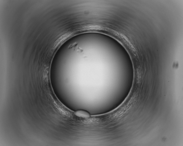 X0000101231225200806271504