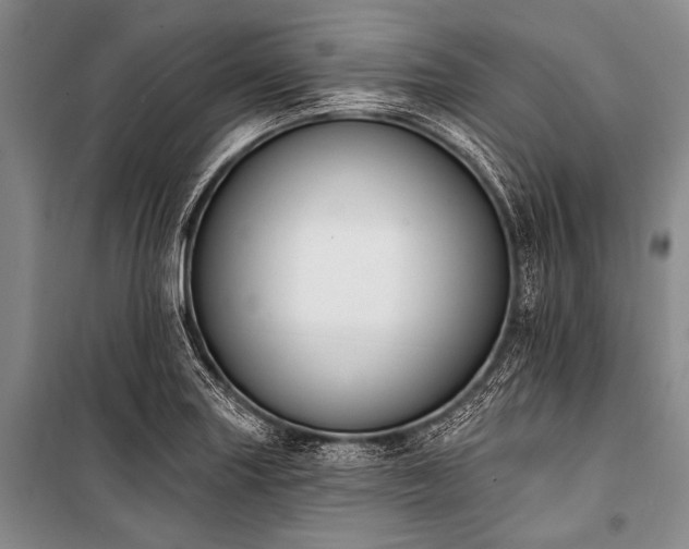 X0000101231227200806271504