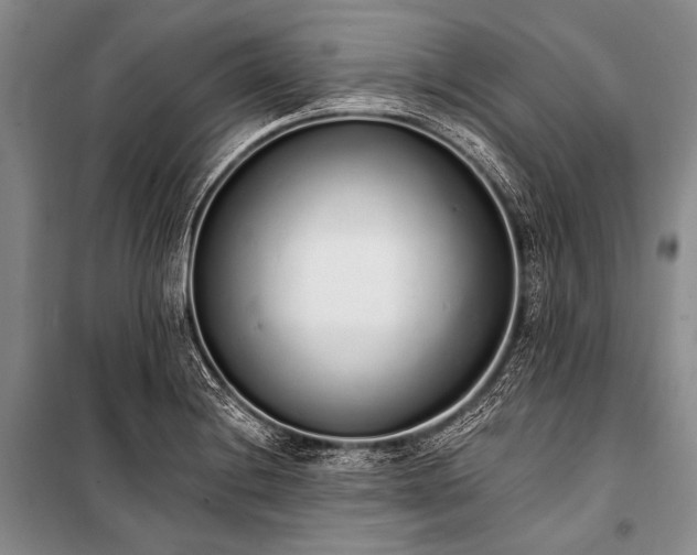 X0000101231228200806271504