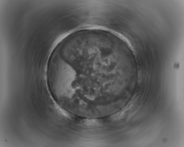 X0000101231231200806271504