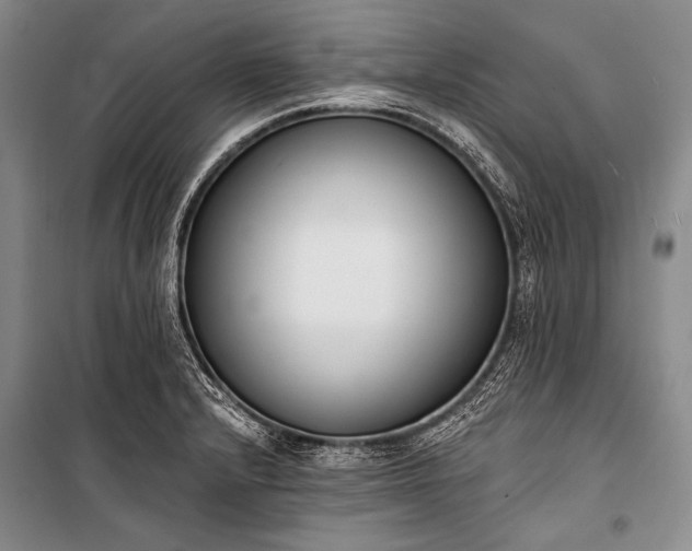 X0000101231232200806271504