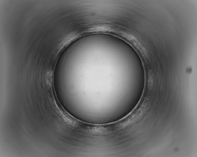 X0000101231233200806271504