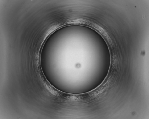X0000101231234200806271504