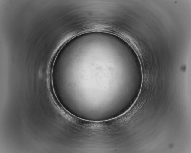 X0000101231235200806271504