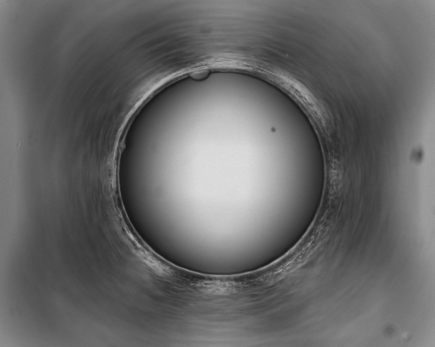 X0000101231236200806271504