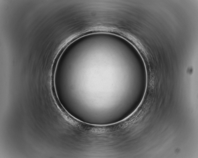 X0000101231237200806271504
