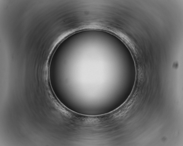 X0000101231238200806271504