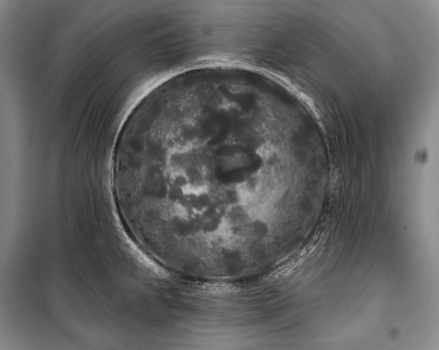 X0000101231239200806271504