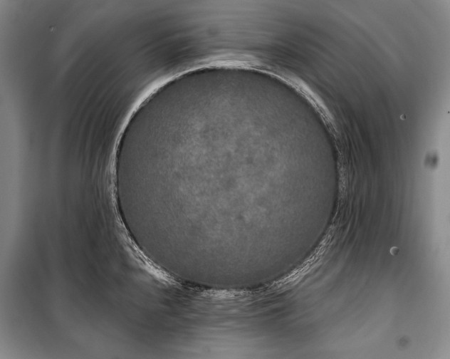 X0000101231240200806271504