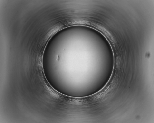 X0000101231241200806271504
