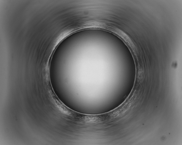 X0000101231242200806271504