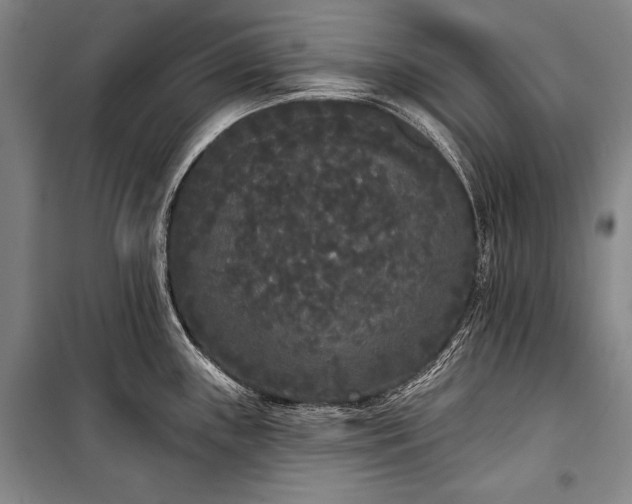 X0000101231243200806271504