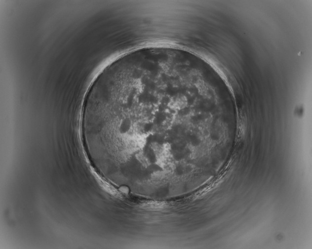 X0000101231245200806271504