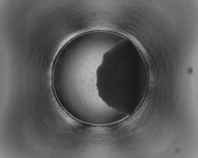 X0000101231246200806271504