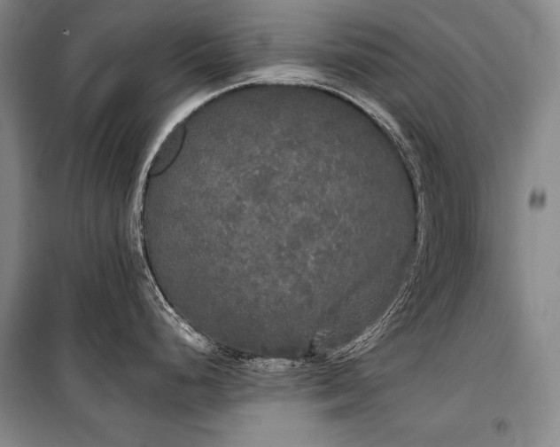 X0000101231248200806271504