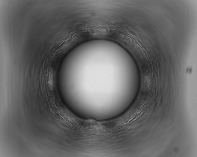 X0000101231250200806271503