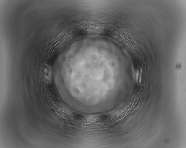 X0000101231251200806271503