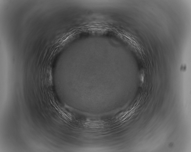 X0000101231252200806271503