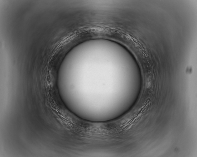 X0000101231253200806271503