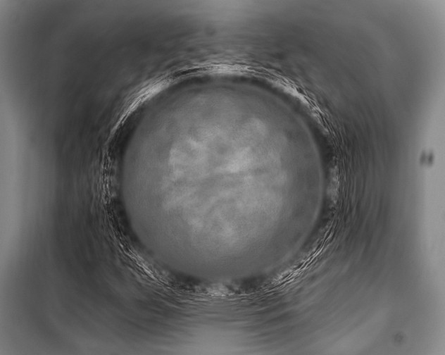 X0000101231255200806271503