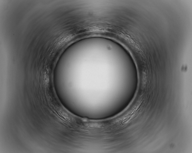 X0000101231257200806271503